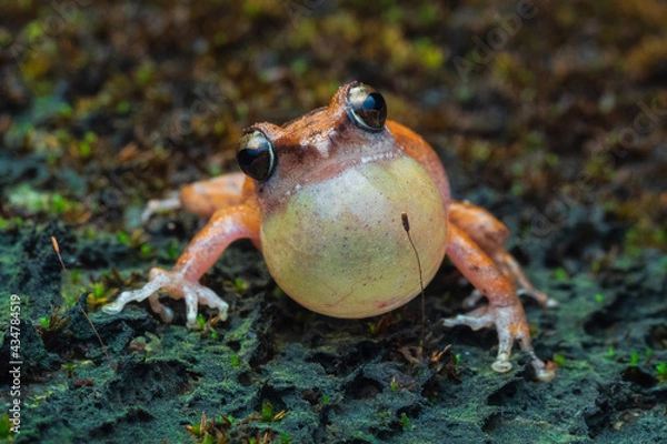 Obraz OLYMPUS DIGITAL CAMERA