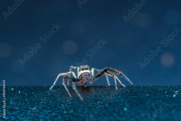 Obraz OLYMPUS DIGITAL CAMERA