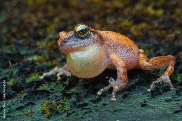 Obraz OLYMPUS DIGITAL CAMERA