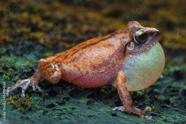 Obraz OLYMPUS DIGITAL CAMERA