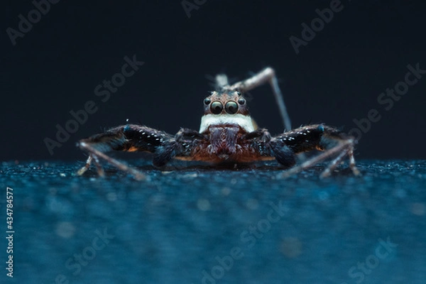 Obraz OLYMPUS DIGITAL CAMERA