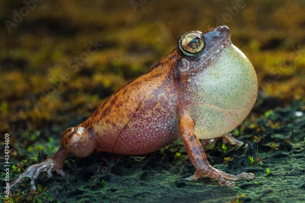 Obraz OLYMPUS DIGITAL CAMERA