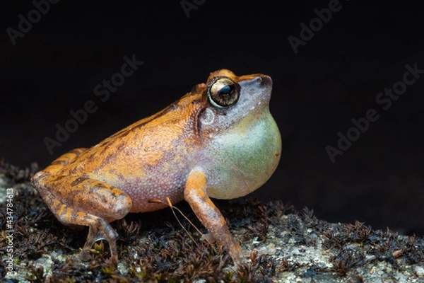 Obraz OLYMPUS DIGITAL CAMERA