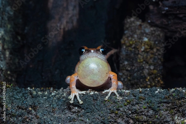 Obraz OLYMPUS DIGITAL CAMERA