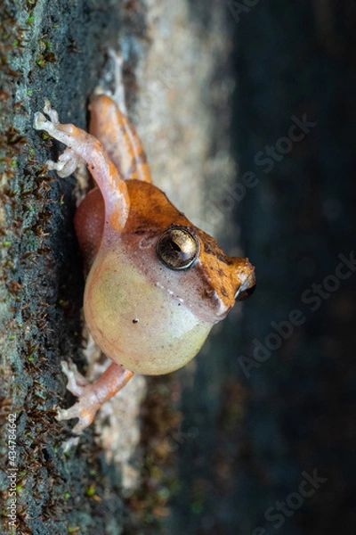 Obraz OLYMPUS DIGITAL CAMERA