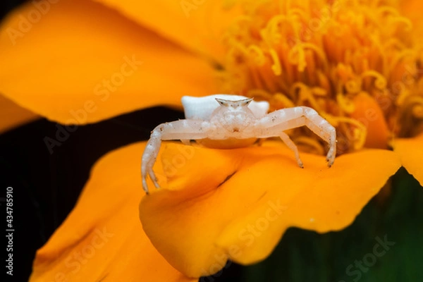 Obraz OLYMPUS DIGITAL CAMERA