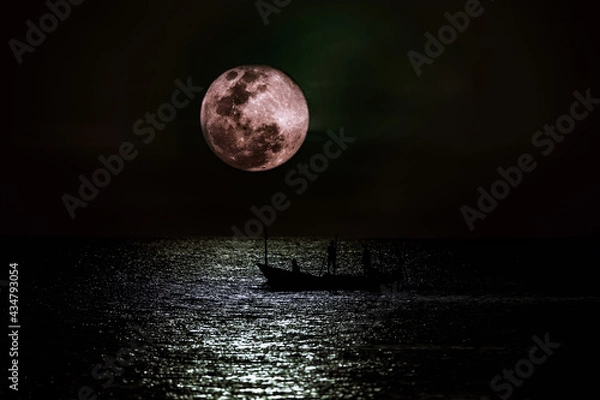 Obraz moon in the night