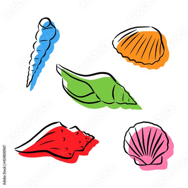 Fototapeta Set of seashells with a black outline and a colored silhouette. Vector illustration for patterns, postal cards, and prints.