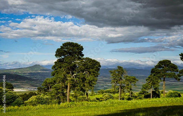 Obraz landscape with vineyard and clouds