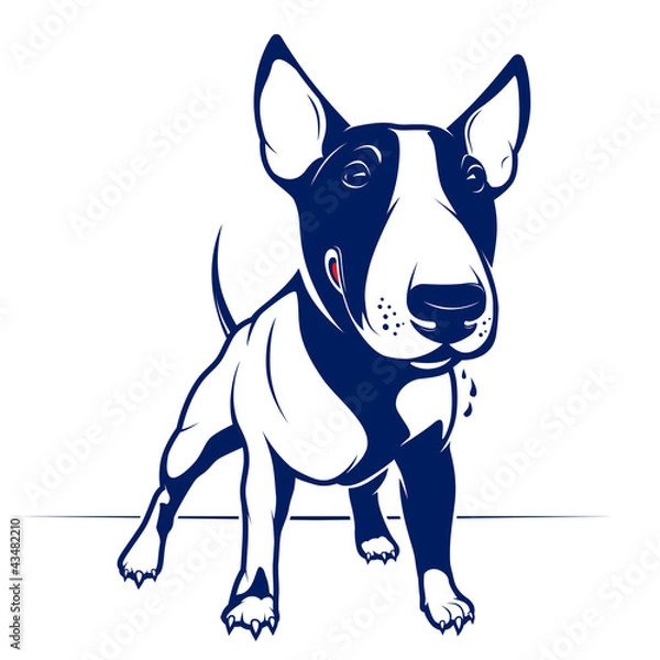 Obraz Bull Terrier