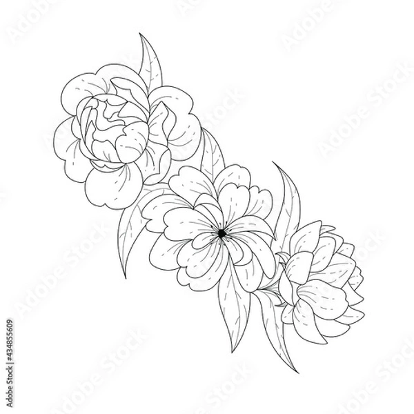 Fototapeta Sketch floral botany collection. Black and white bouquet, linear art on a white background. Hand drawing of a flower. Botanical illustrations. Vector.