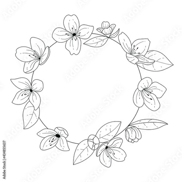 Fototapeta Sketch floral botany collection. Black and white bouquet, linear art on a white background. Hand drawing of a flower. Botanical illustrations. Vector.