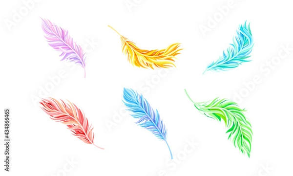 Fototapeta Colorful Bird Feathers as Avian Plumage Vector Set