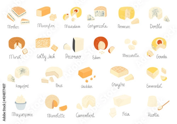 Fototapeta Big set of cheese illustrations. Different kinds - hard, soft, semi-soft, blue. Heads of cheese and parts. With inscriptions. Flat pretty design for menu, restaurant, shop.