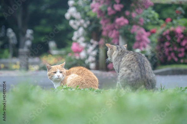 Obraz おともだちと