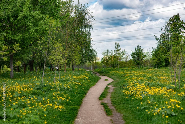 Fototapeta path in the park