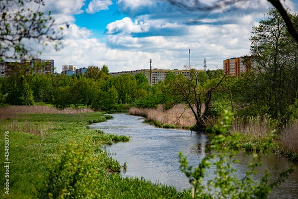 Fototapeta landscape with a river