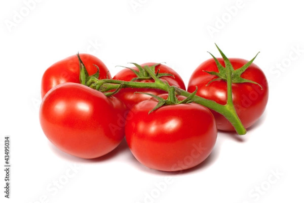 Obraz Tomatoes