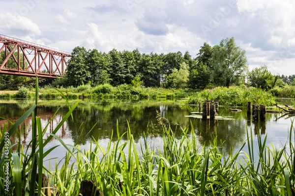 Obraz Мост над рекой