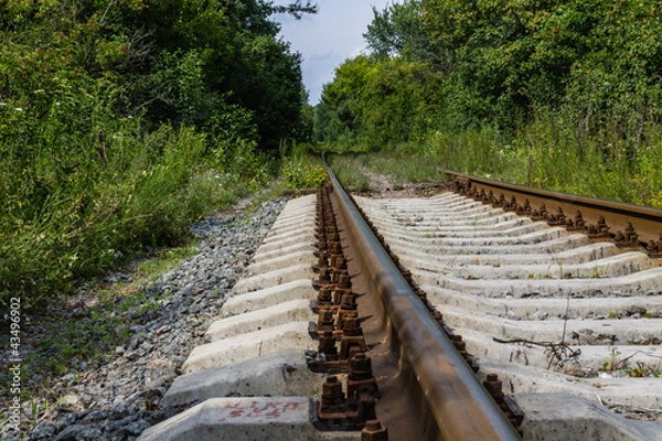 Obraz Железная дорога в лесу