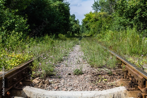 Obraz Железная дорога в лесу