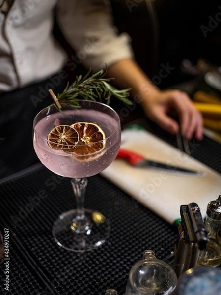 Fototapeta Pink Gin Tonic