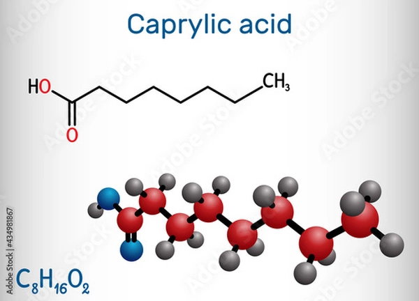 Obraz Caprylic acid, octanoic acid  molecule. It is straight-chain saturated fatty and carboxylic acid. Salts are octanoates or caprylates. Structural chemical formula, molecule model