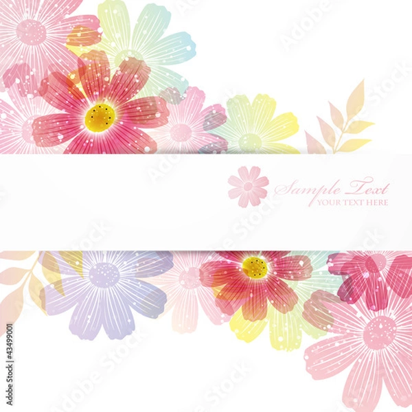 Obraz cosmoses background