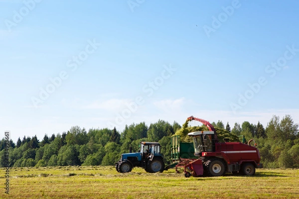 Fototapeta Hay harvesting in the field.