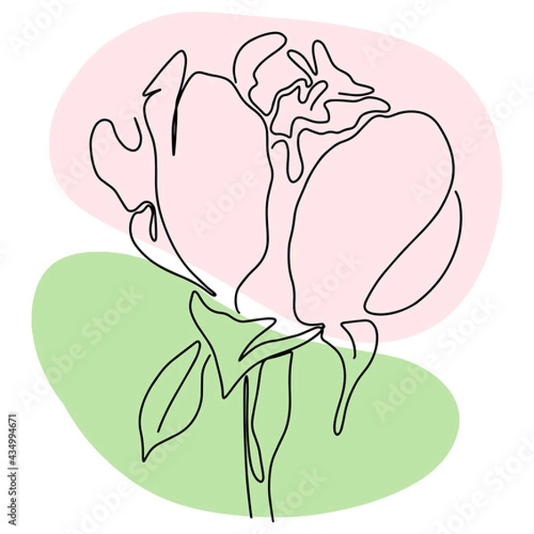 Obraz hand drawn Line art monoline flowers . Vector illustration