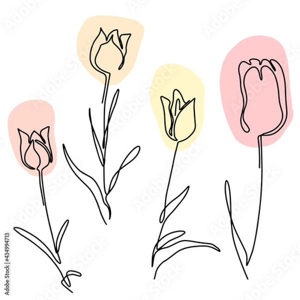 Obraz hand drawn Line art monoline flowers . Vector illustration