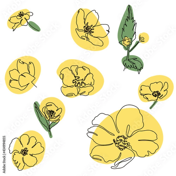 Obraz hand drawn Line art monoline flowers . Vector illustration