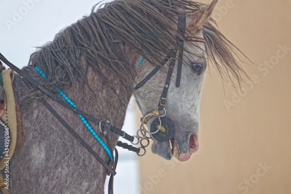 Obraz Art, Architectural