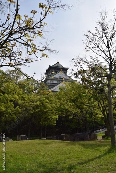 Obraz 大阪城天守閣