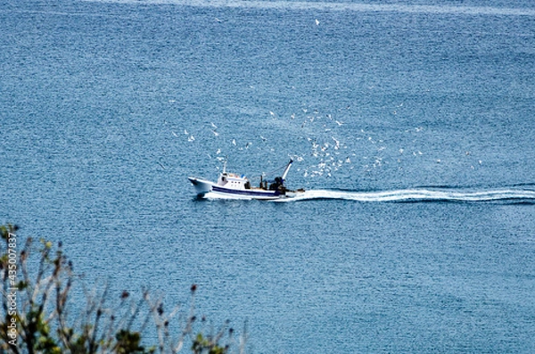 Obraz Fishing boat returns to port surrounded by seagulls
