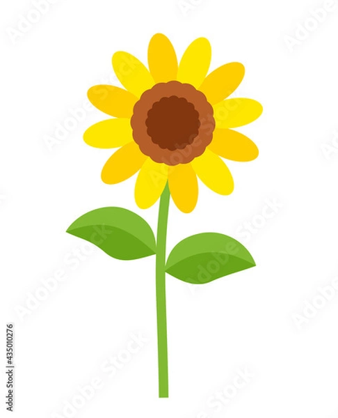 Fototapeta sunflower with leaves vector illustration
