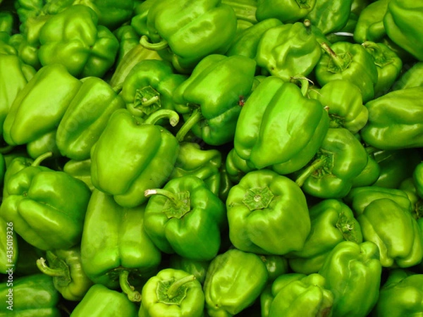 Obraz fresh green Capsicum