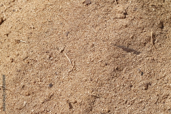 Fototapeta SAWDUST TEXTURE