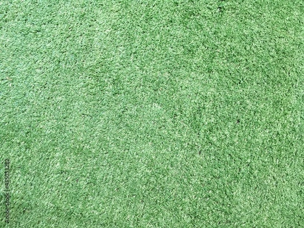 Obraz green grass texture