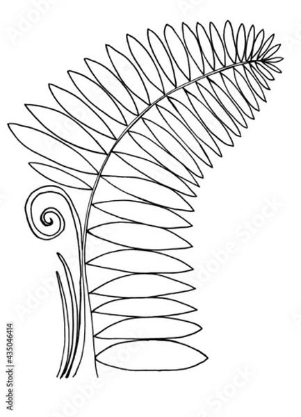 Obraz paproć rysunek pionowo