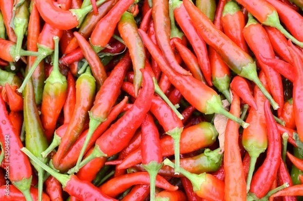 Obraz peperoncini piccanti