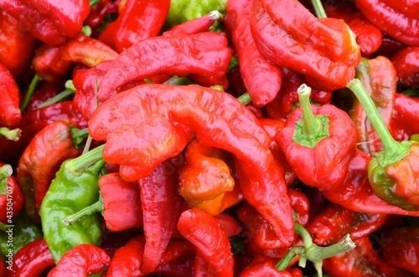 Obraz peperoncini piccanti