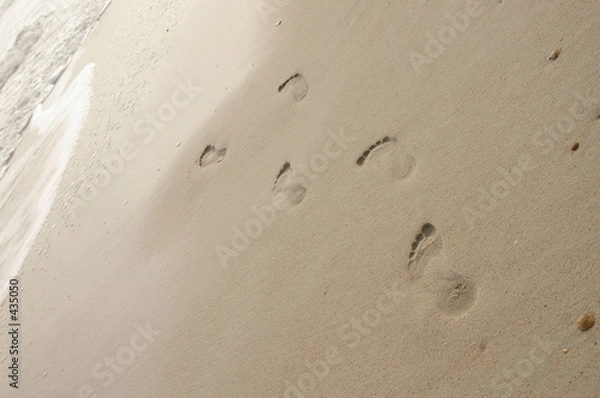 Fototapeta to the sea