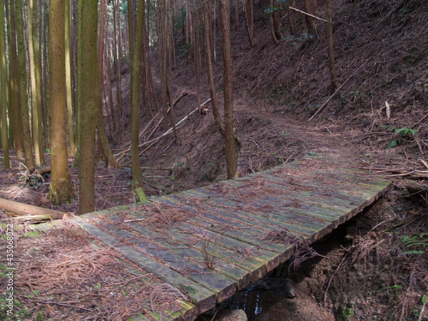 Fototapeta 山道