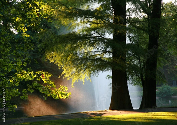 Obraz Sunset in the park