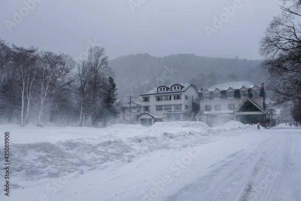 Fototapeta 栃木県日光市 雪の降る日光湯元温泉