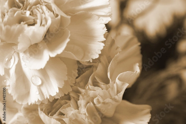 Obraz kwiat wiktoriański