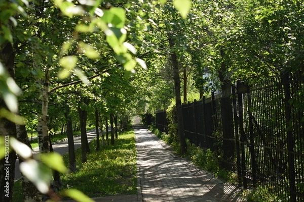 Obraz Прогулочная аллея