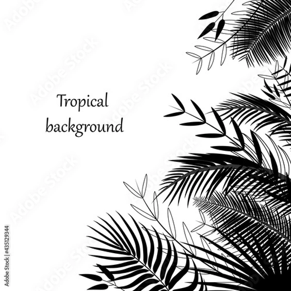 Obraz Tropical background with palm leaves. Corner, border of silhouettes of exotic tropical branches and foliage. Jungle, hawaii pattern in black. Poster template with place for text. Vector illustration