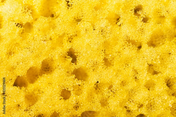 Fototapeta Yellow sponge macro background abstraction texture